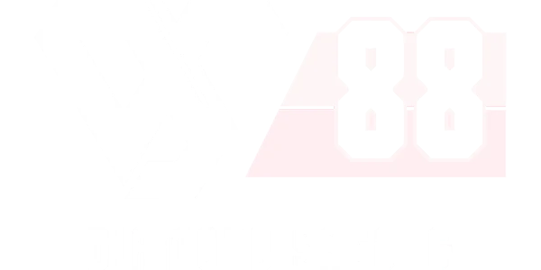 DS88