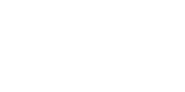 Fast Spin
